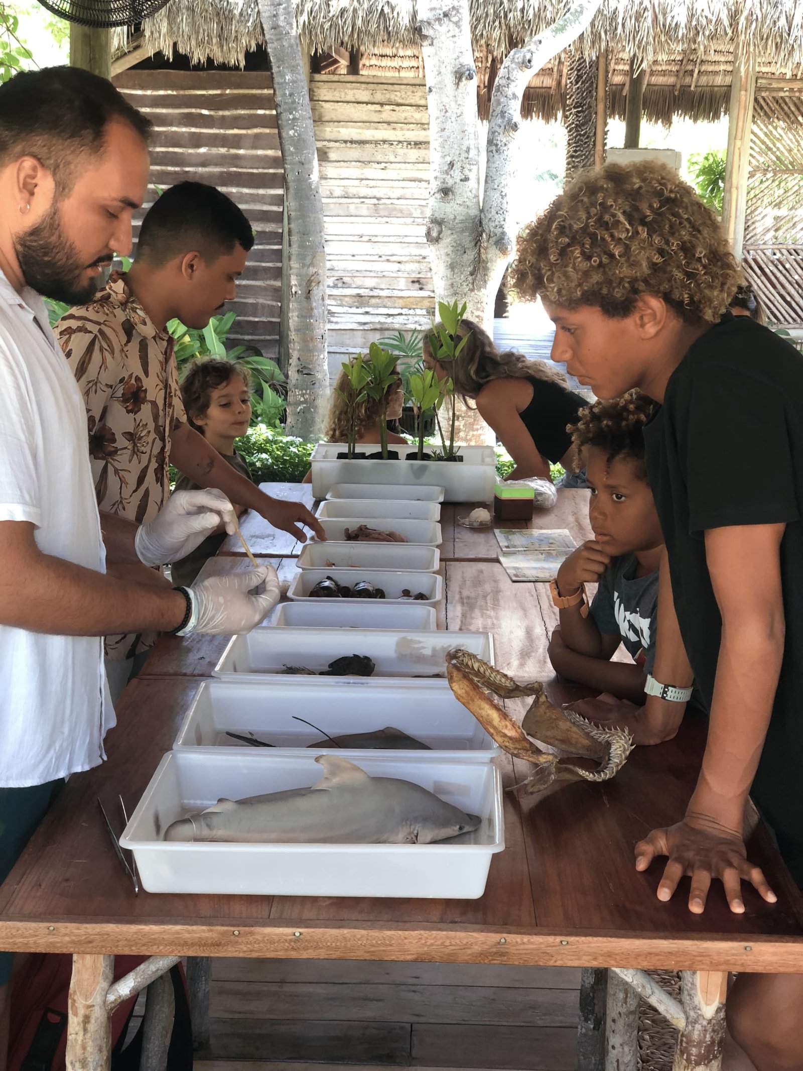 Copia-de-IMG_2529-scaled