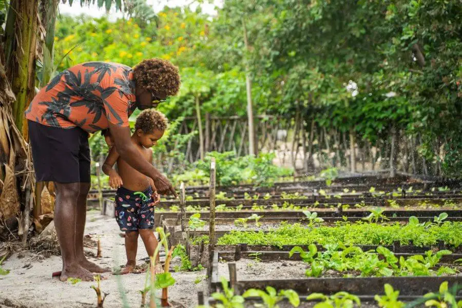 Pai mostrando a horta orgânica do Rancho do Peixe para seu filho. Father showing Rancho do Peixe’s organic garden to his son.